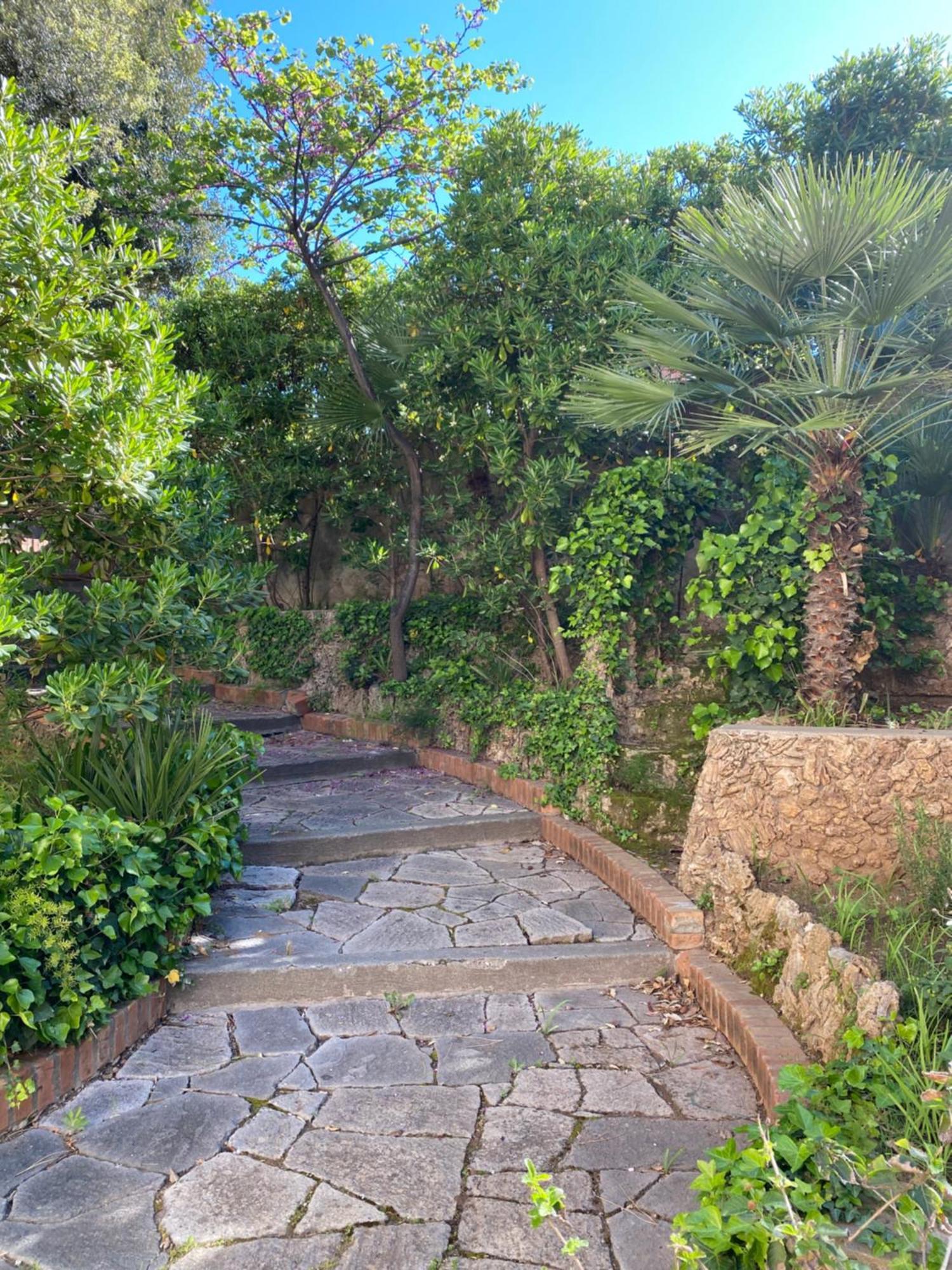 סן וינצ'נזו Villa Il Boschetto מראה חיצוני תמונה