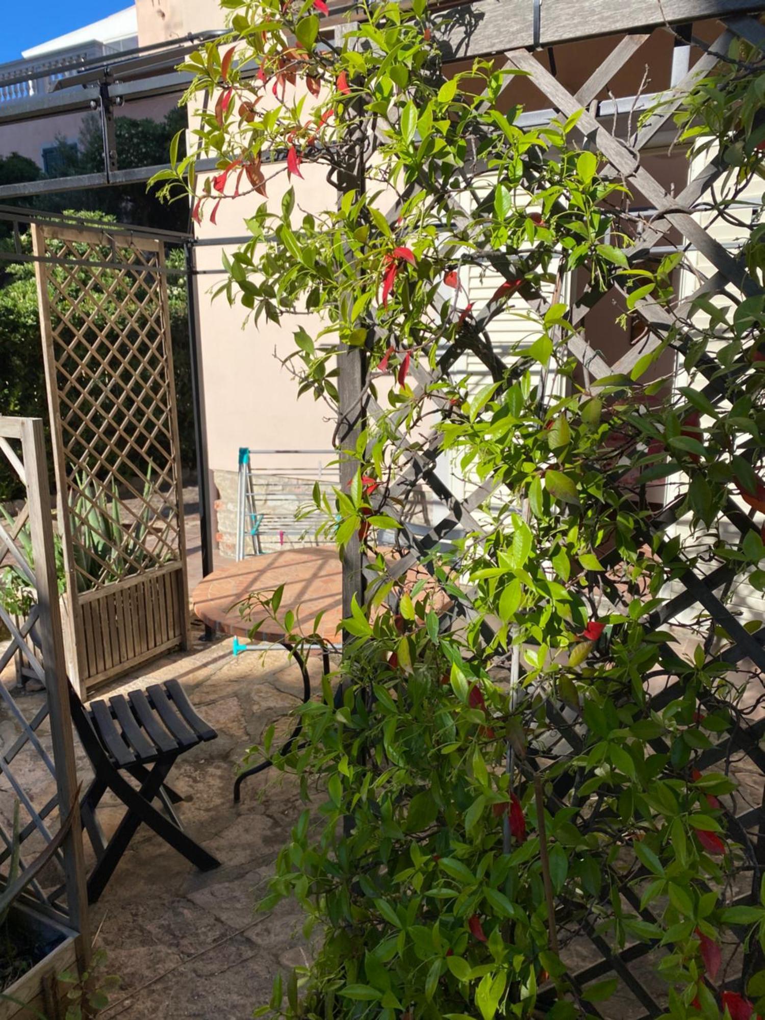סן וינצ'נזו Villa Il Boschetto מראה חיצוני תמונה