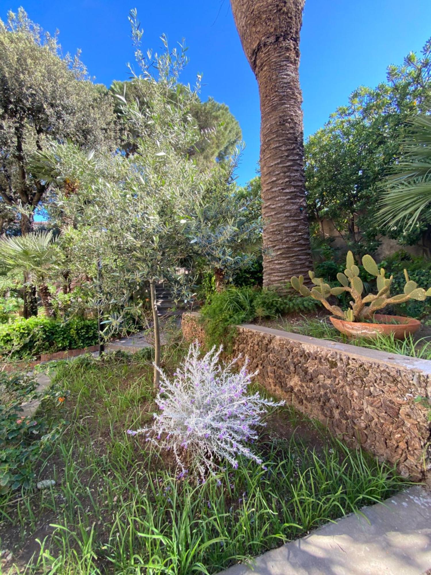 סן וינצ'נזו Villa Il Boschetto מראה חיצוני תמונה