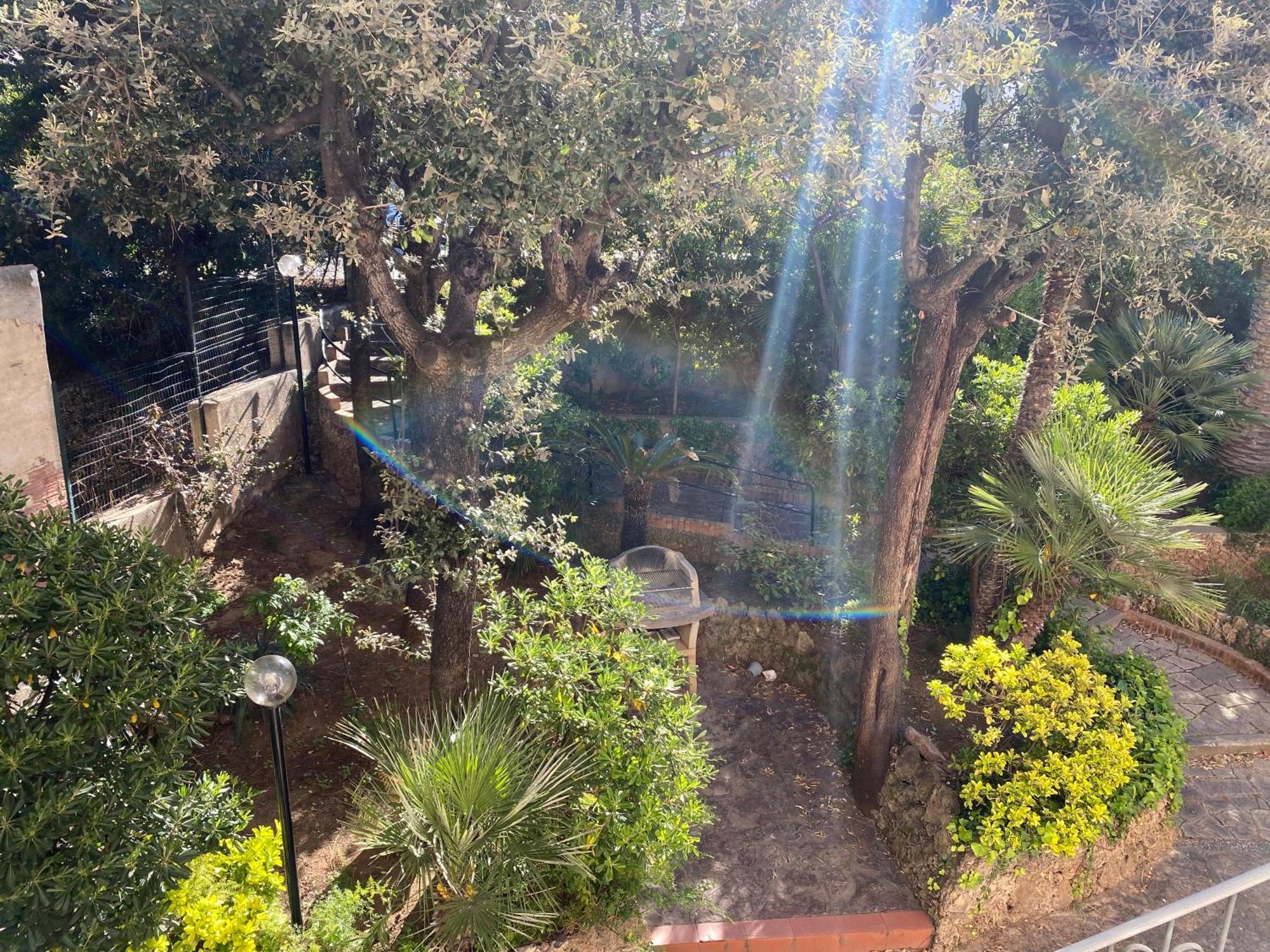 סן וינצ'נזו Villa Il Boschetto מראה חיצוני תמונה